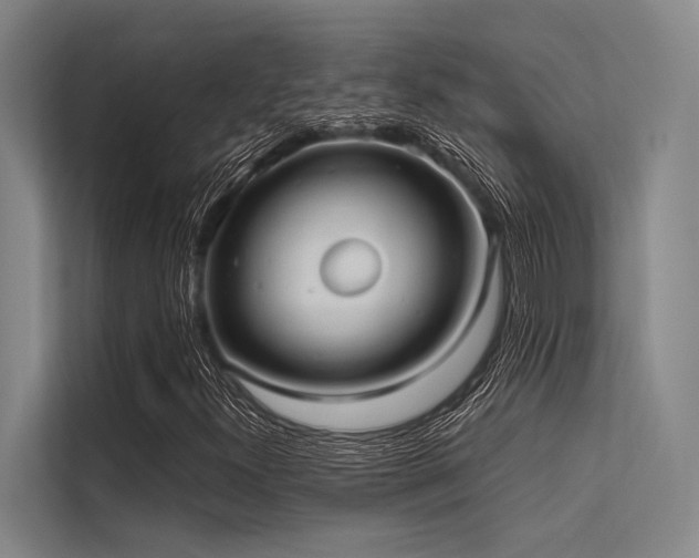 X0000113551300200909181151
