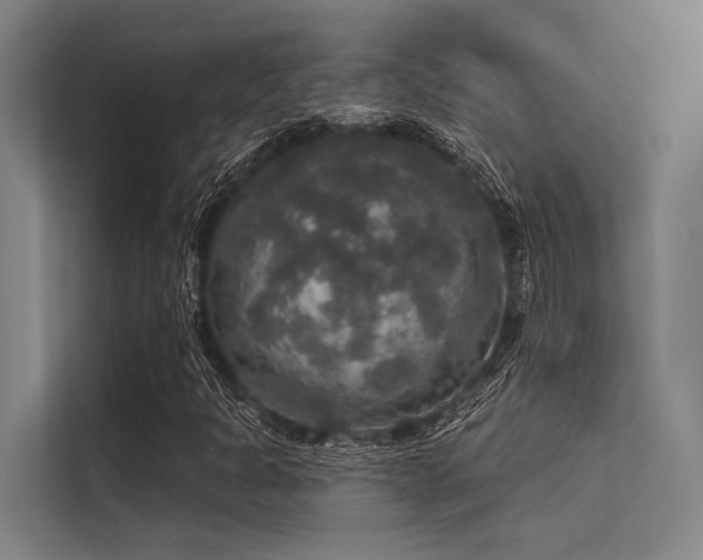 X0000113551301200909181151