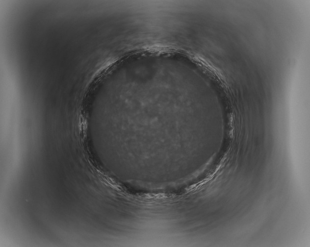 X0000113551302200909181151