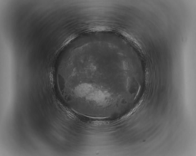 X0000113551305200909181151