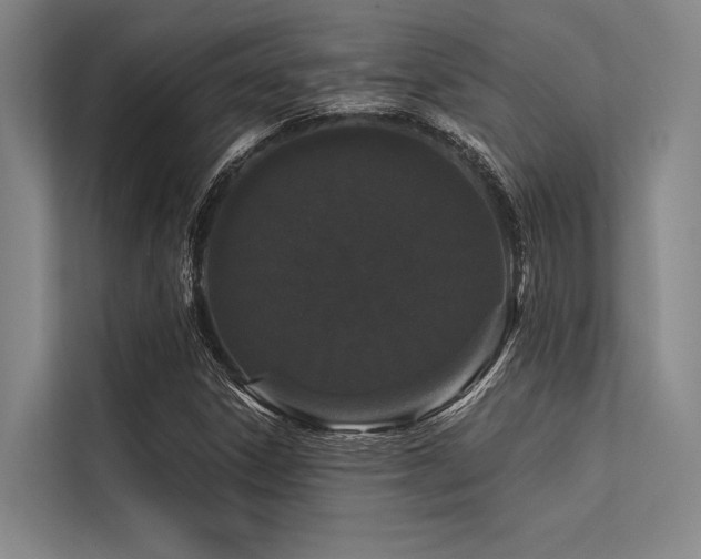X0000113551306200909181151