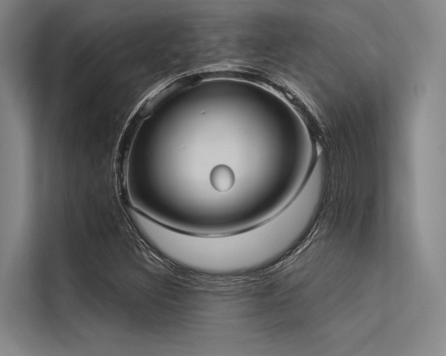 X0000113551308200909181151