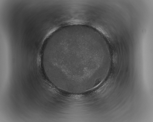 X0000113551309200909181151