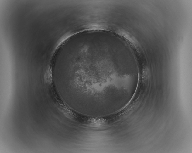 X0000113551310200909181151