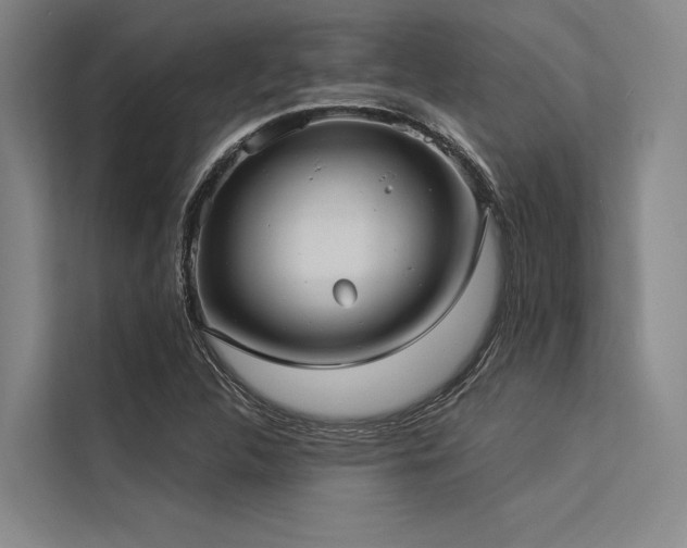 X0000113551312200909181151