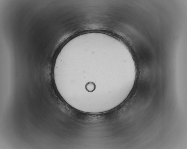 X0000113551314200909181151