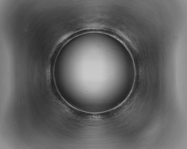 X0000113551315200909181151