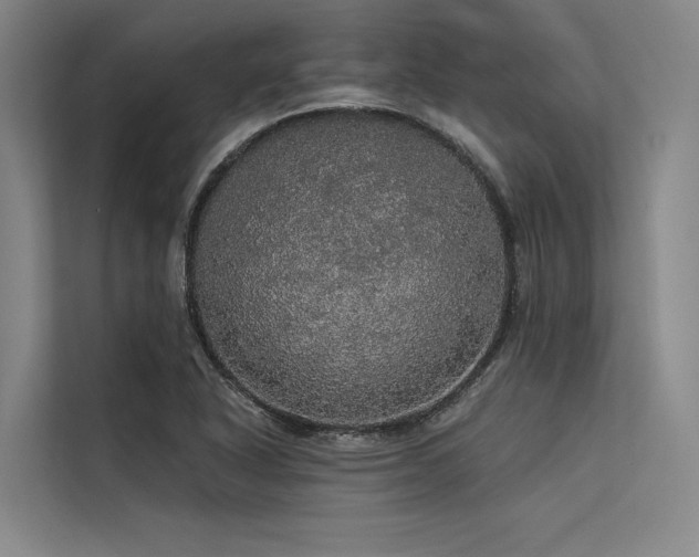 X0000113551318200909181151