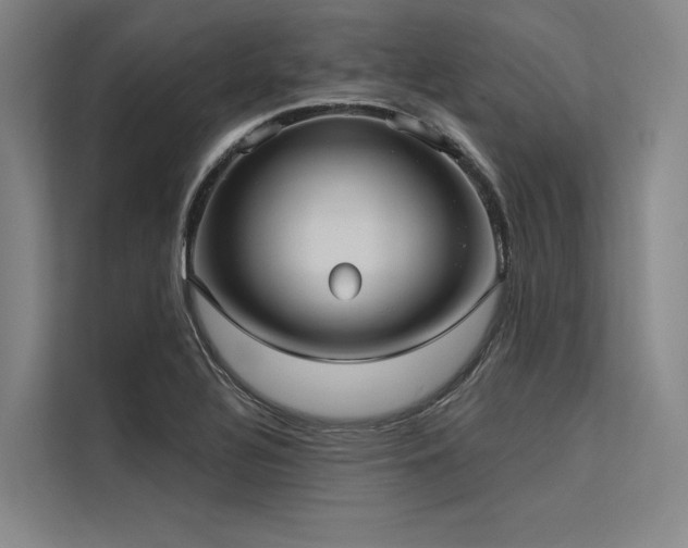 X0000113551320200909181151