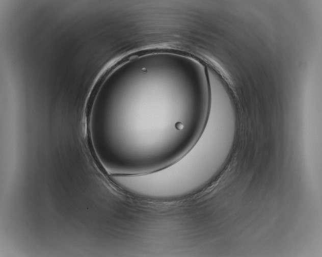 X0000113551324200909181151