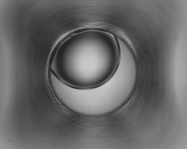 X0000113551328200909181151