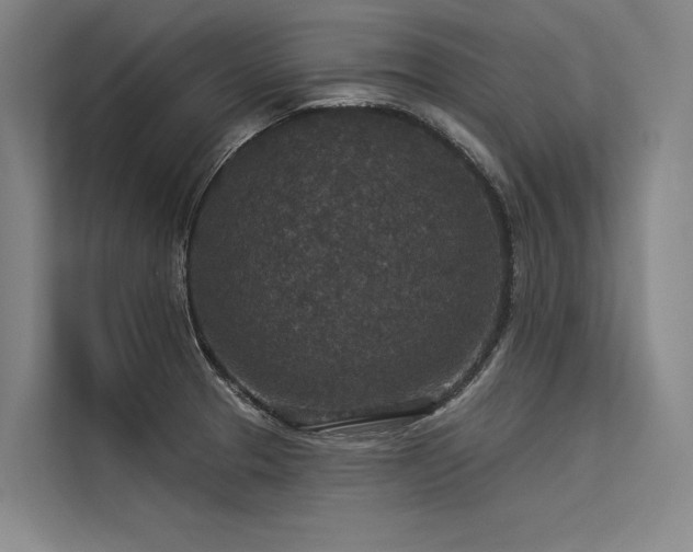 X0000113551329200909181151