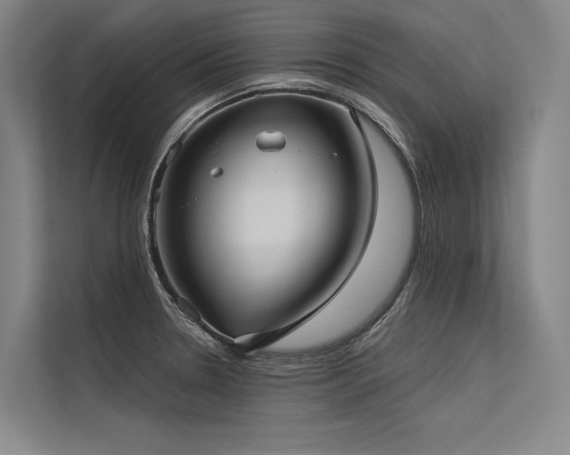 X0000113551330200909181151