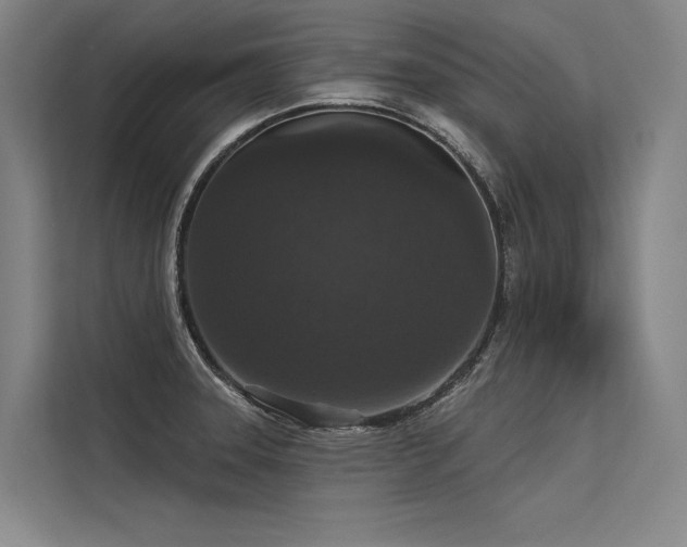 X0000113551331200909181151