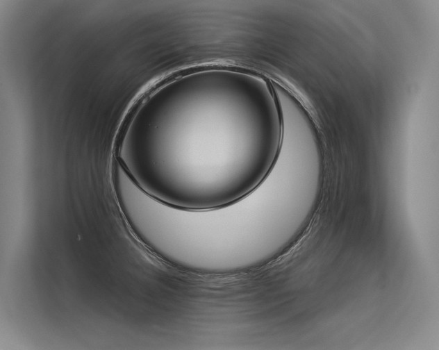 X0000113551332200909181151