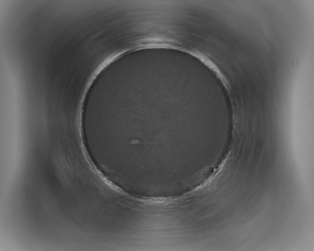 X0000113551333200909181151