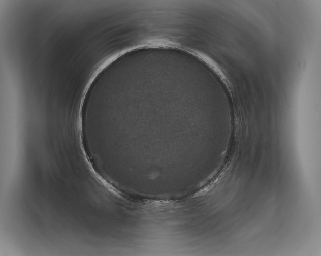 X0000113551335200909181151