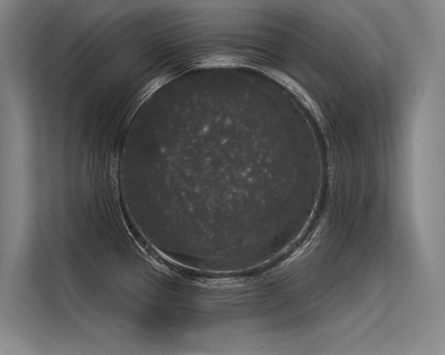 X0000113551337200909181151