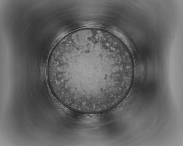 X0000113551338200909181151