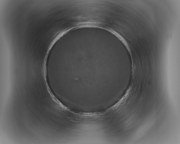 X0000113551341200909181151