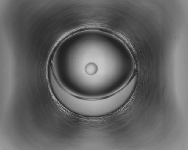 X0000113551342200909181151
