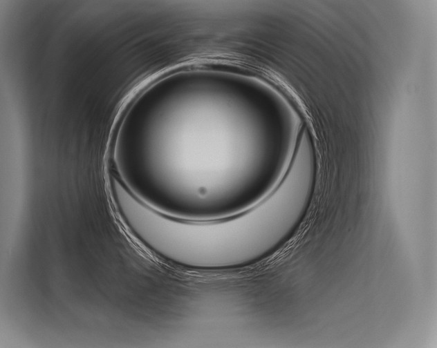 X0000113551344200909181151