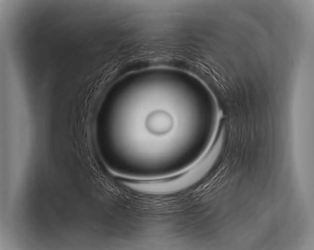 X0000113551345200909181151