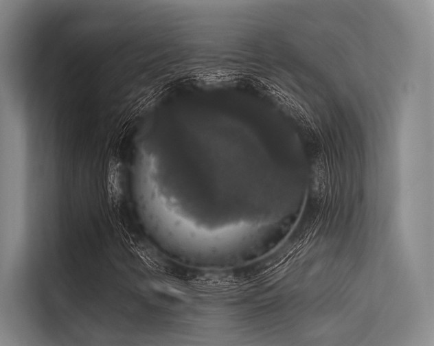 X0000113551346200909181151