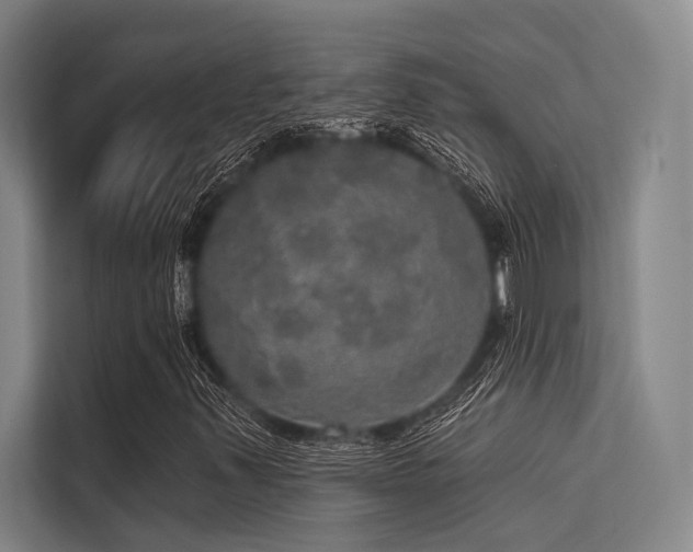 X0000113551347200909181151