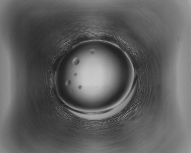 X0000113551348200909181151