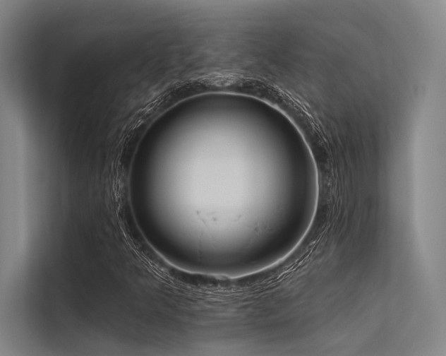 X0000113551349200909181151