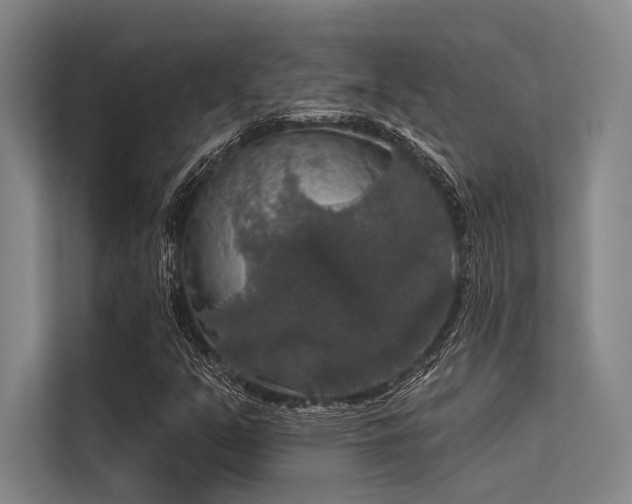 X0000113551351200909181151