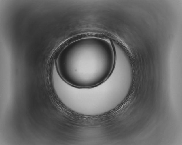 X0000113551352200909181151