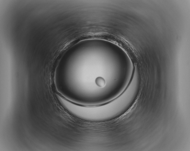 X0000113551353200909181151