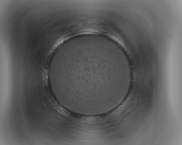 X0000113551355200909181151