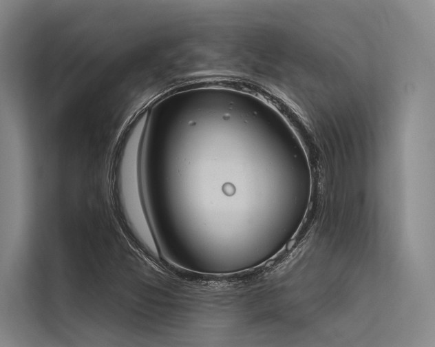 X0000113551357200909181151