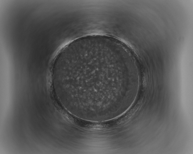X0000113551359200909181150