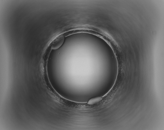 X0000113551360200909181150