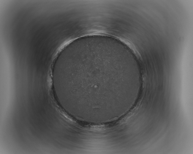 X0000113551363200909181150