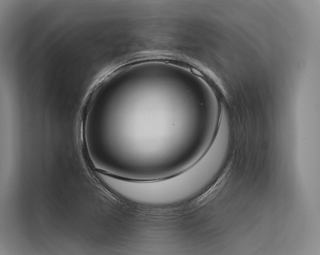 X0000113551365200909181150