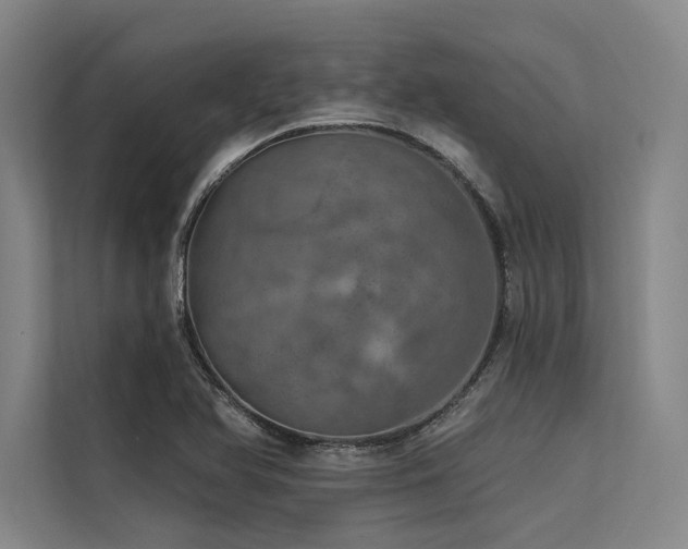 X0000113551366200909181150