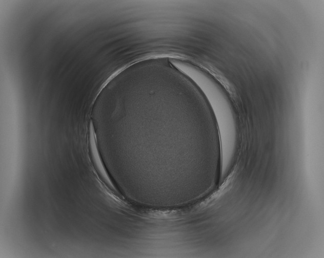 X0000113551369200909181150