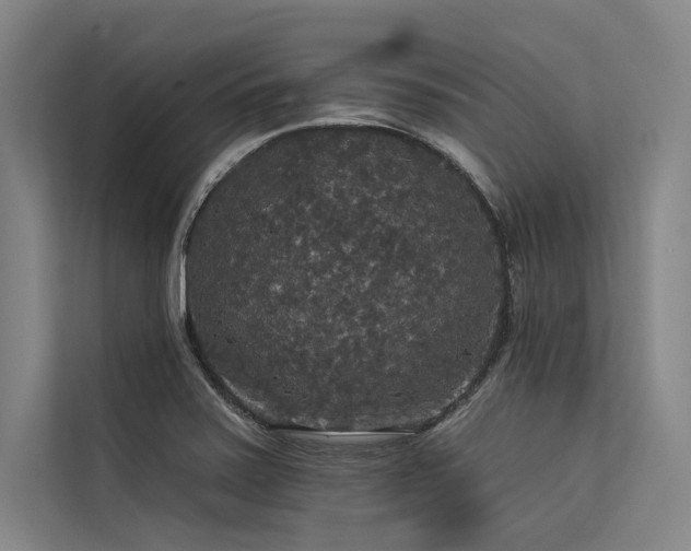 X0000113551371200909181150
