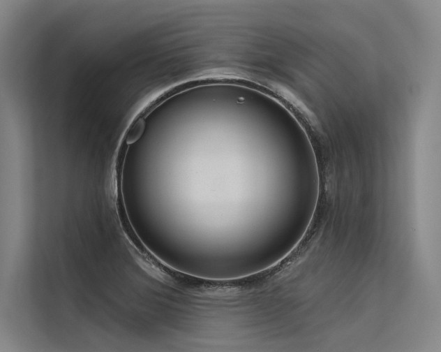 X0000113551372200909181150