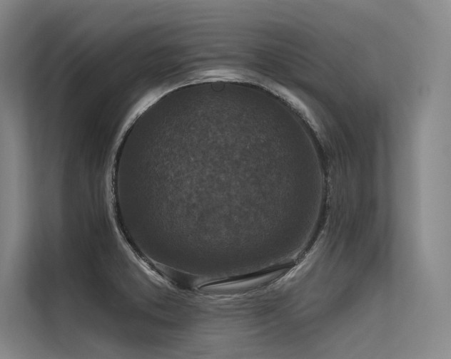 X0000113551373200909181150
