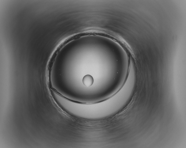 X0000113551376200909181150