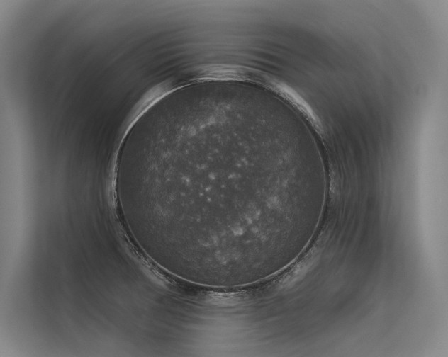 X0000113551378200909181150