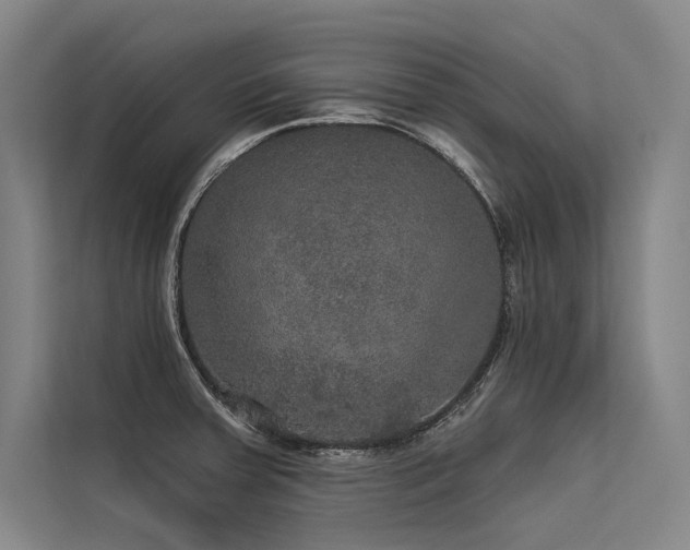 X0000113551379200909181150