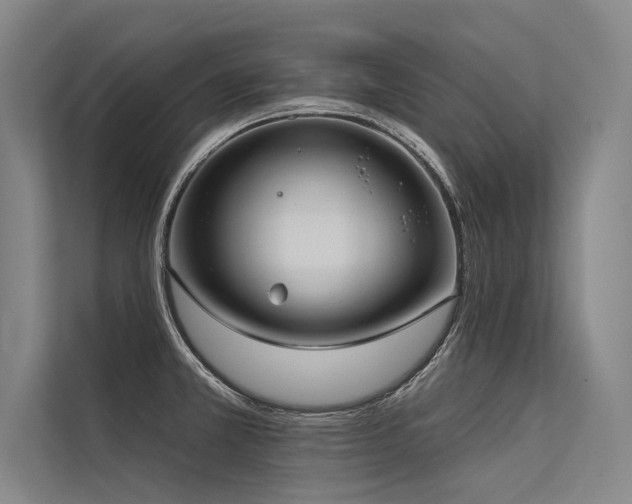 X0000113551381200909181150