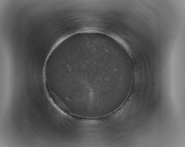 X0000113551382200909181150